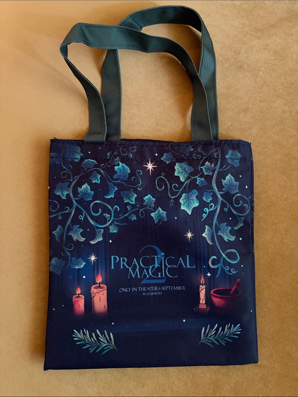 NWOT Practical Magic 2 Mini Tote Bag